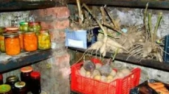 Ako sa zbaviť huby v suteréne a podzemí súkromného domu